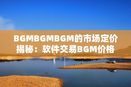 BGMBGMBGM的市場定價揭秘：軟件交易BGM價格研究revealed