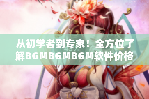 從初學者到專家！全方位了解BGMBGMBGM軟件價格及使用指南