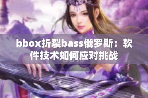 bbox折裂bass俄羅斯：軟件技術如何應對挑戰(zhàn)