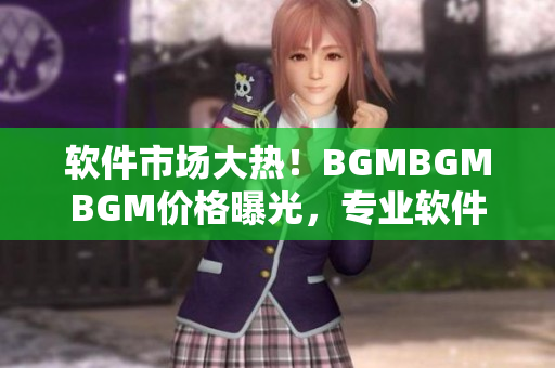 軟件市場大熱！BGMBGMBGM價格曝光，專業(yè)軟件價格實探