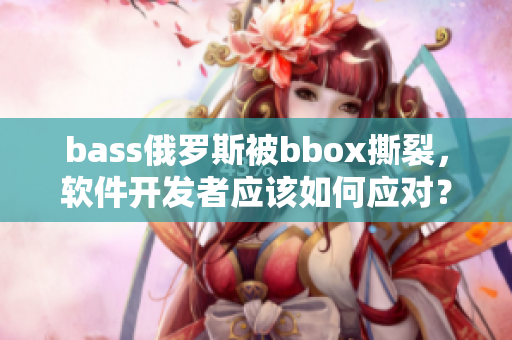 bass俄羅斯被bbox撕裂，軟件開發(fā)者應(yīng)該如何應(yīng)對(duì)？