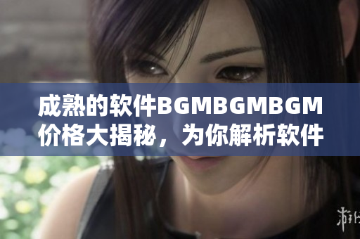 成熟的軟件BGMBGMBGM價格大揭秘，為你解析軟件背后的價值