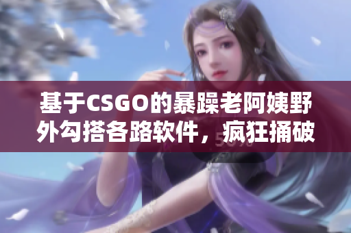 基于CSGO的暴躁老阿姨野外勾搭各路軟件，瘋狂捅破程序瓶頸