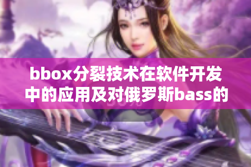 bbox分裂技術(shù)在軟件開(kāi)發(fā)中的應(yīng)用及對(duì)俄羅斯bass的影響