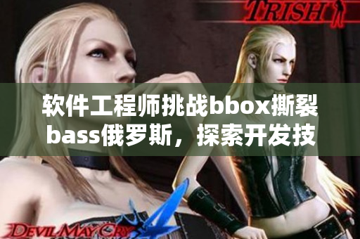 軟件工程師挑戰(zhàn)bbox撕裂bass俄羅斯，探索開發(fā)技術路徑