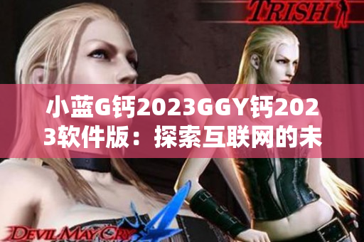 小藍(lán)G鈣2023GGY鈣2023軟件版：探索互聯(lián)網(wǎng)的未來(lái)趨勢(shì)