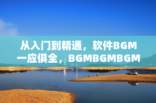 從入門到精通，軟件BGM一應(yīng)俱全，BGMBGMBGM價格大揭秘！