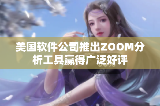 美國軟件公司推出ZOOM分析工具贏得廣泛好評