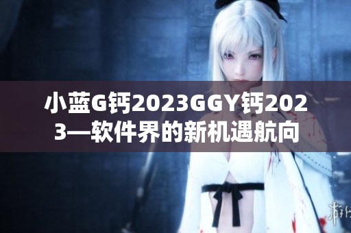 小藍G鈣2023GGY鈣2023—軟件界的新機遇航向