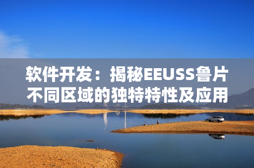 軟件開發(fā)：揭秘EEUSS魯片不同區(qū)域的獨(dú)特特性及應(yīng)用場景