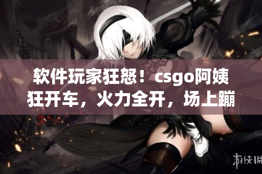 軟件玩家狂怒！csgo阿姨狂開車，火力全開，場上蹦迪如癡狂