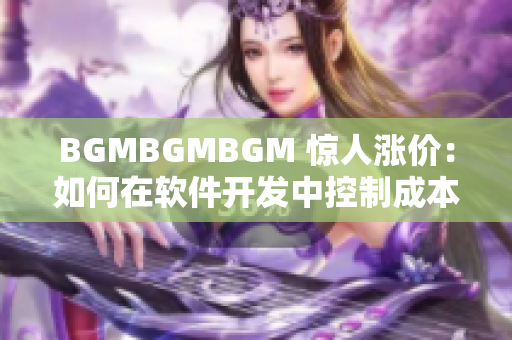 BGMBGMBGM 驚人漲價：如何在軟件開發(fā)中控制成本？