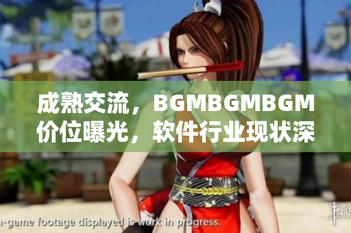 成熟交流，BGMBGMBGM價位曝光，軟件行業(yè)現(xiàn)狀深度分析