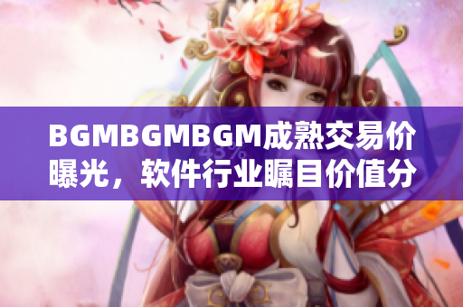 BGMBGMBGM成熟交易價曝光，軟件行業(yè)矚目價值分析