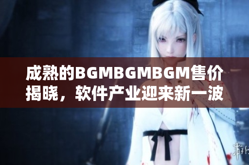 成熟的BGMBGMBGM售價揭曉，軟件產(chǎn)業(yè)迎來新一波挑戰(zhàn)