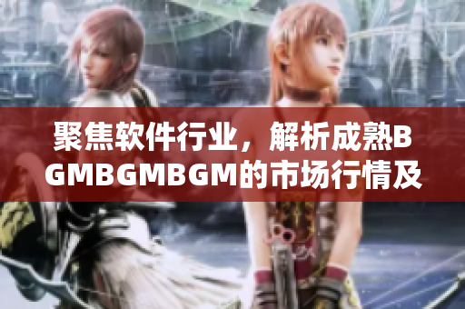 聚焦軟件行業(yè)，解析成熟BGMBGMBGM的市場行情及價(jià)格預(yù)測