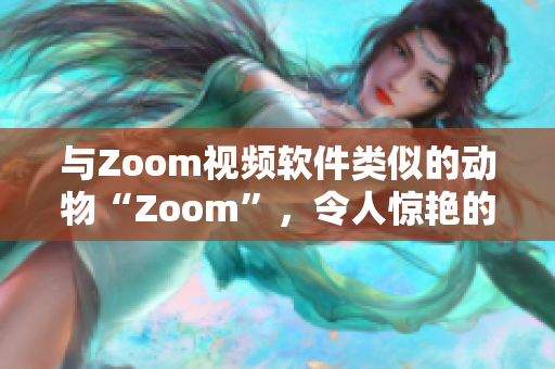 與Zoom視頻軟件類似的動物“Zoom”，令人驚艷的軟件功能解析