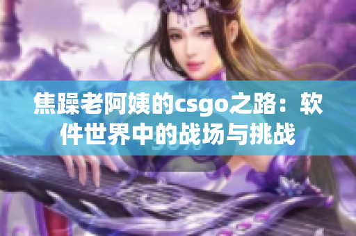 焦躁老阿姨的csgo之路：軟件世界中的戰(zhàn)場(chǎng)與挑戰(zhàn)