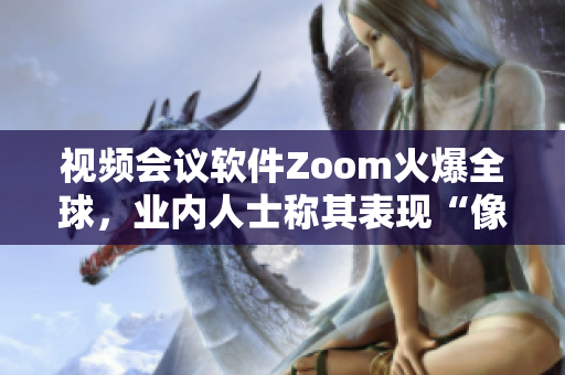 視頻會議軟件Zoom火爆全球，業(yè)內(nèi)人士稱其表現(xiàn)“像動物Zoom”