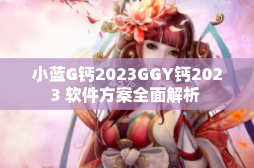 小藍(lán)G鈣2023GGY鈣2023 軟件方案全面解析 