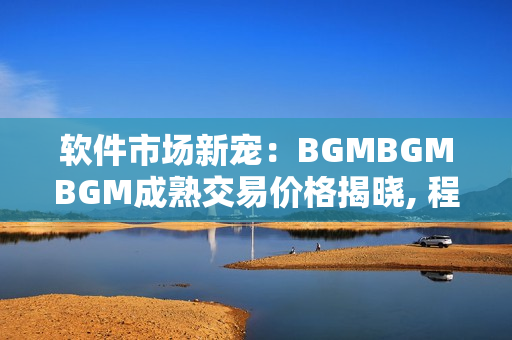 軟件市場(chǎng)新寵：BGMBGMBGM成熟交易價(jià)格揭曉, 程序員們快來(lái)瞧瞧!