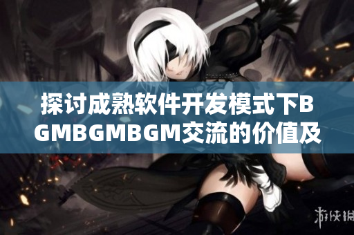 探討成熟軟件開發(fā)模式下BGMBGMBGM交流的價值及價格