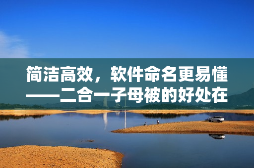 簡潔高效，軟件命名更易懂——二合一子母被的好處在軟件領(lǐng)域的應(yīng)用